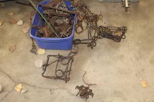 lot 91 image: Lot of (1 Tote Bin) Animal Traps
