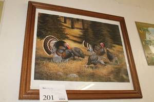 lot 201 image: Strut Zone by Mark S. Anderson Signed Print , Wood FrameGlass