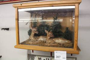 lot 207 image: Display Cabinet