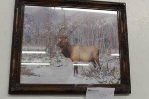 lot 208 image: Elk Print , Wood Frame