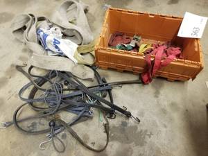 lot 563 image: Lot of (1 Tote) Bungee Cords, Ratchet Straps