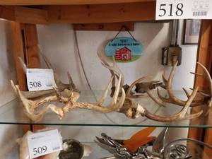 lot 508 image: Assortment of Deer Antlers