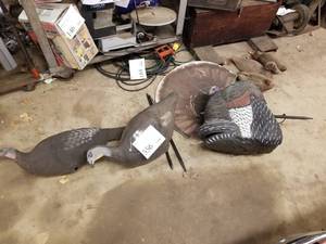 lot 556 image: Lot of (7) Decoys - Duck, Phaesant, Turkey