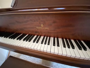 lot 3 image: Steinway Model A Grand Piano