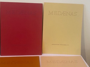 lot 243 image: Variety of Medaenas Art Booklets