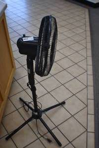 Fan