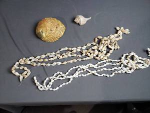 Shells and Shell Pot Hangers