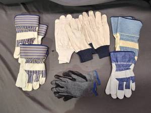 8 Pairs of Gloves