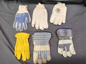 6 Pairs of Gloves