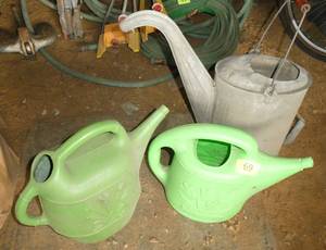 2 plastic and one nice old galvanized watering can