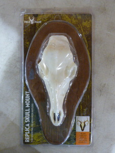 lot 245 image: Field Champ Replica Skull Mount