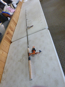 lot 253 image: Shimano Rod and South Bend Reel