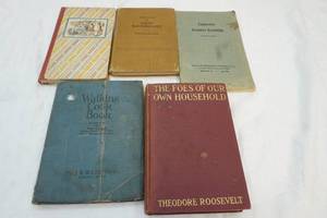 lot 244 image: vintage books