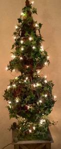 lot 213 image: 2 Matching Light Up Ivy Trees