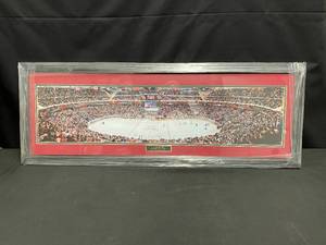 NHL MN Wild vs Stars 10th Anniversary logo framed print