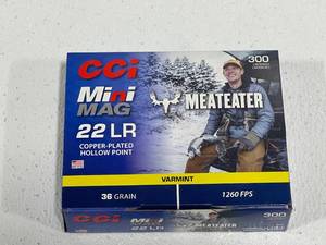 300 Rounds .22 Caliber