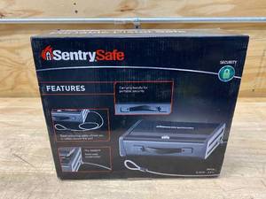 lot 62 image: SENTRYSAFE Portable Pistol Safe 0.10 cu Feet (locked with no key)