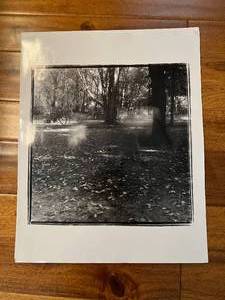Ghosts in the Woods Picture