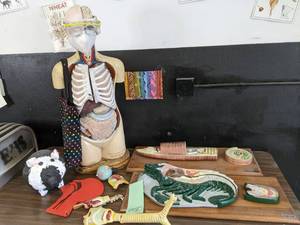 lot 450 image: Torso organ model and other biologi...