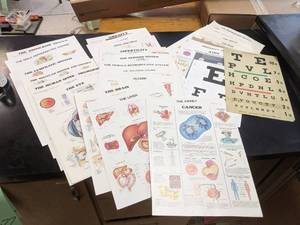 lot 477 image: Eye charts and several biology char...