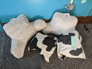 lot 507 image: 4 Pillows...