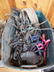 lot 49 image: Tote of Horse Bridles