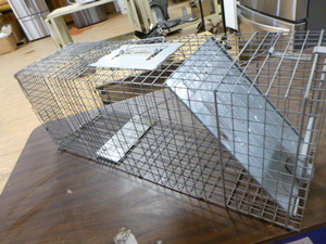 lot 65 image: Havahart Live Trap