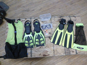 lot 87 image: Swimming Accessories