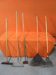 Rakes