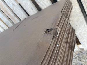 Shipping Boxes