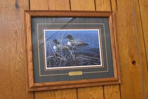 Loon Picture