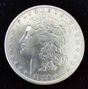 1899-S Morgan Dollar