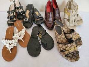 lot 210 image: Ladies Shoe Collection, 7 pr  Size 8  Coach  Born  Tori Burch  Cole Haan 