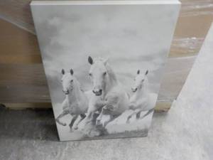 Canvas Horse Picture 16 x 24 ...