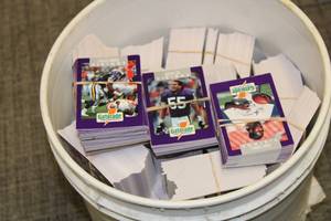 Painter Bucket Full of Minnesota Vikings Police Cards