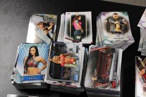 WWE Wrestling Card Bulk Common Star Rookie & Insert Lot  700 Cards