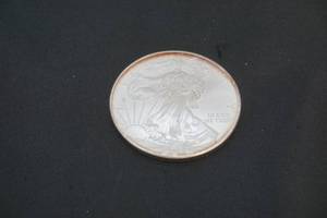 Liberty Walking Dollar