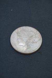 Morgan Dollar