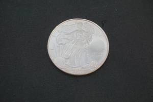 Silver Eagle Dollar