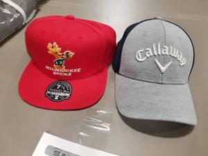 lot 565 image: Lot of (2) Baseball Caps (New ) - Milwaukke Bucks, Callaway