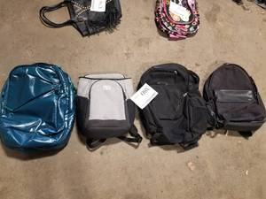 lot 380 image: Soft-side Cooler Packs (x2), Backpacks (x2)