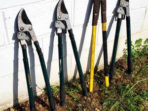 lot 266 image: Assorted Yard Tools Lot