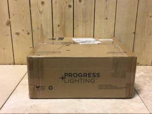 lot 18 image: Dome Glass Collection 13.25 in. 2-Light Polished Chrome Flush Mount with Etched Glass by Progress Lighting Customer Returns See Pictures