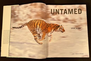 lot 203 image: Coffee Table Book Untamed by Steve Bloom