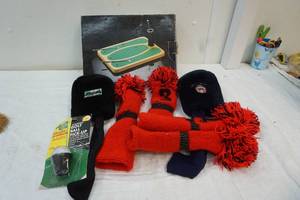 lot 175 image: Executive Golf Game Court and club covers