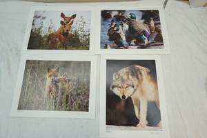 lot 246 image: Brian Peterson photos