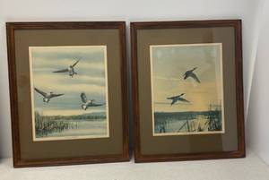 Pair Of Vintage Framed Lithographs  Canada Honkers  and  Pair Of Pintails 