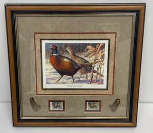 Nick Reitzel Pencil Signed Framed Pheasant print with Feathers And 2002 Pheasant Habitat Stamps One Signed BY Artist  13202500  Crowing In The Clearing 
