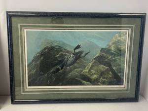 Van Gilder Pencil Signed Framed Print Of A Loon Underwater 55950
