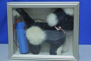 lot 70 image: Battery Operated Walking dog made in Japan in shadow box